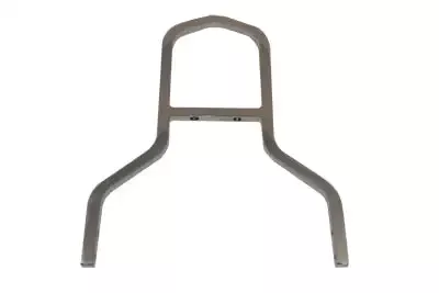 11 Sissy Bar Back