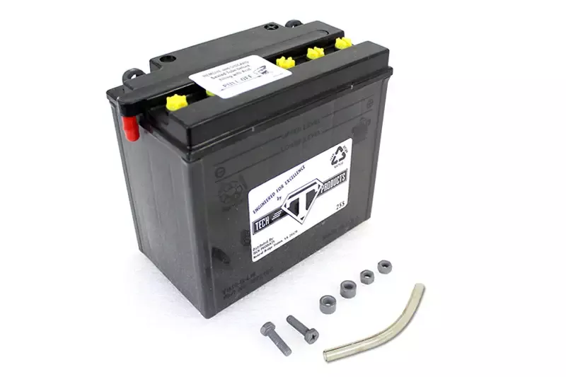 12 Volt 19 Amp CX Battery