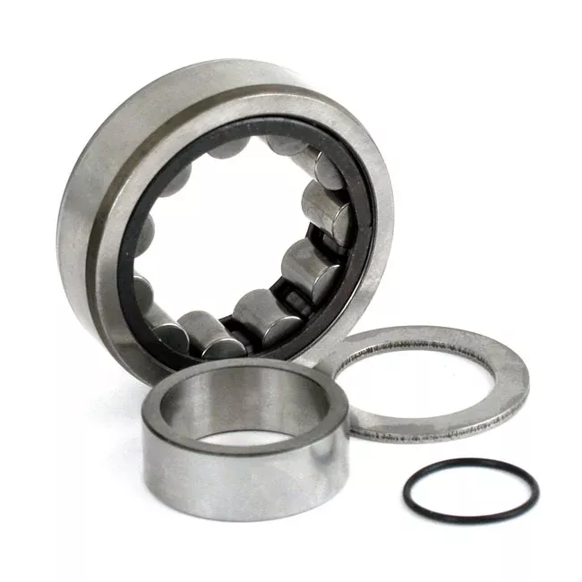 Bearing Assy, Cam. Rear. Outer For Harley-Davidson