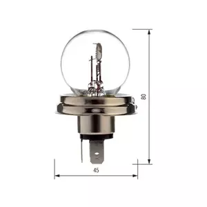 BosmaMotorcycle bulb R2 P45t