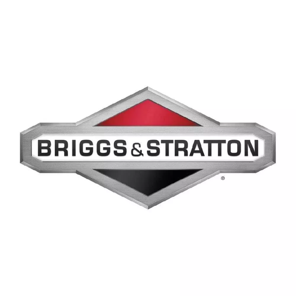 Briggs & Stratton Genuine OEM Engine 386447-3349-G1