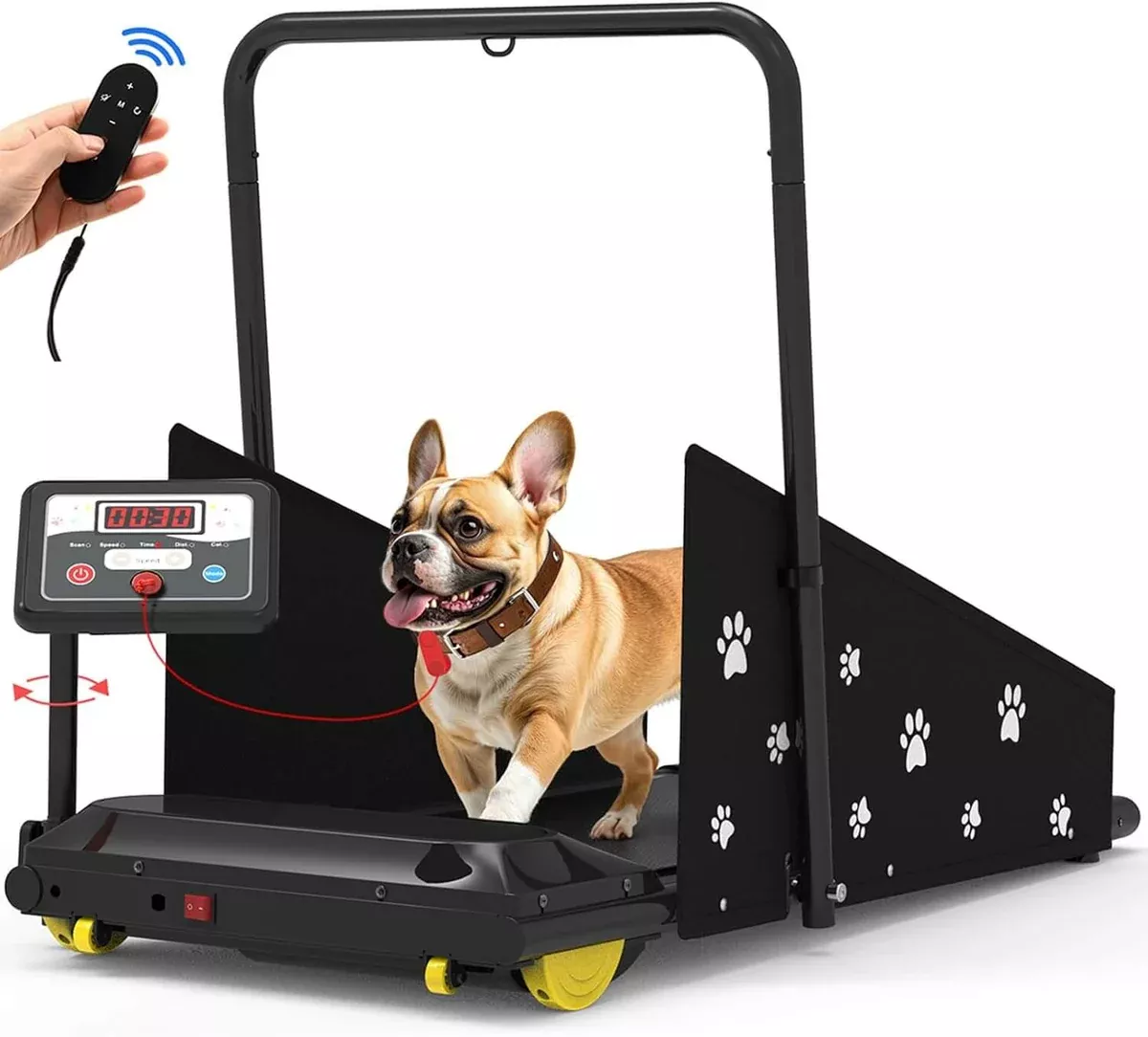 CIIHI C JK08F Dog Treadmill, Small/Medium Dogs