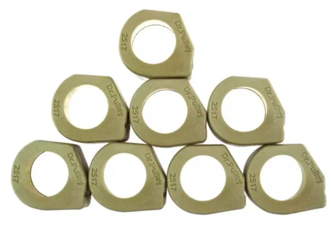 Dr. Pulley 25x17 SLIDING Roller Weights, 169-365