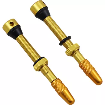 Flat Tire Defender No Clog Valve Stems