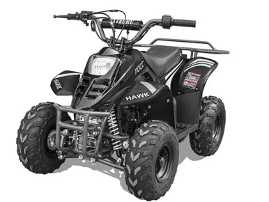 HAWK REX 110CC ATV, 6" Tire