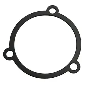 IxilMotorcycle engine gasket