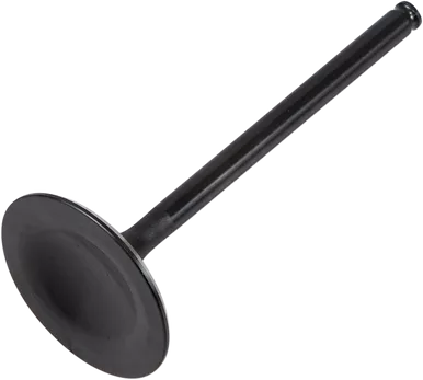 KIBBLEWHITE Intake Valve 30-30220