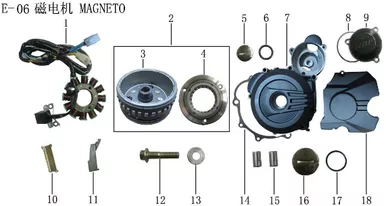 Lifan KP200 Magneto rotor assembly