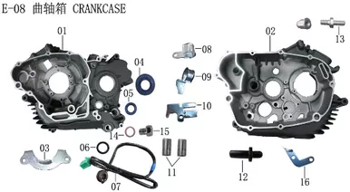 Lifan Lycan Right Crankcase Assembly