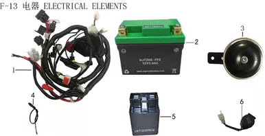 Lifan X-Pect 200 Battery