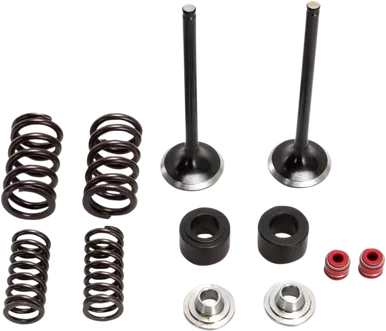 MOOSE RACING Valve and Spring Kit M30-32450