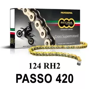 ReginaMotorcycle chain 124rh2