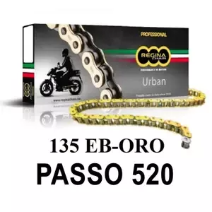ReginaMotorcycle chain 135eb-oro
