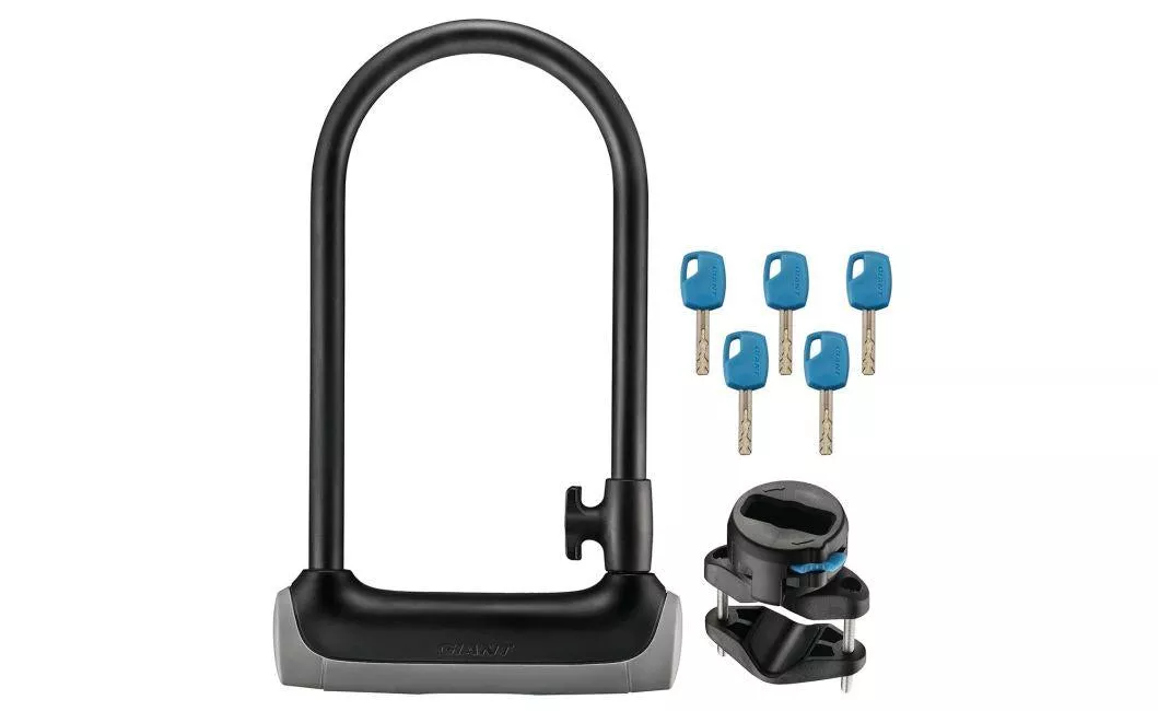 SureLock Protector 2 Standard
