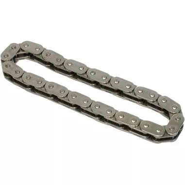 Timing Chain for Harley-Davidson