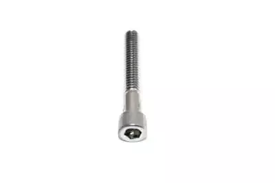*UPDATE Allen Socket Cap Bolt Knurled Chrome 1/4 X 1-3/4