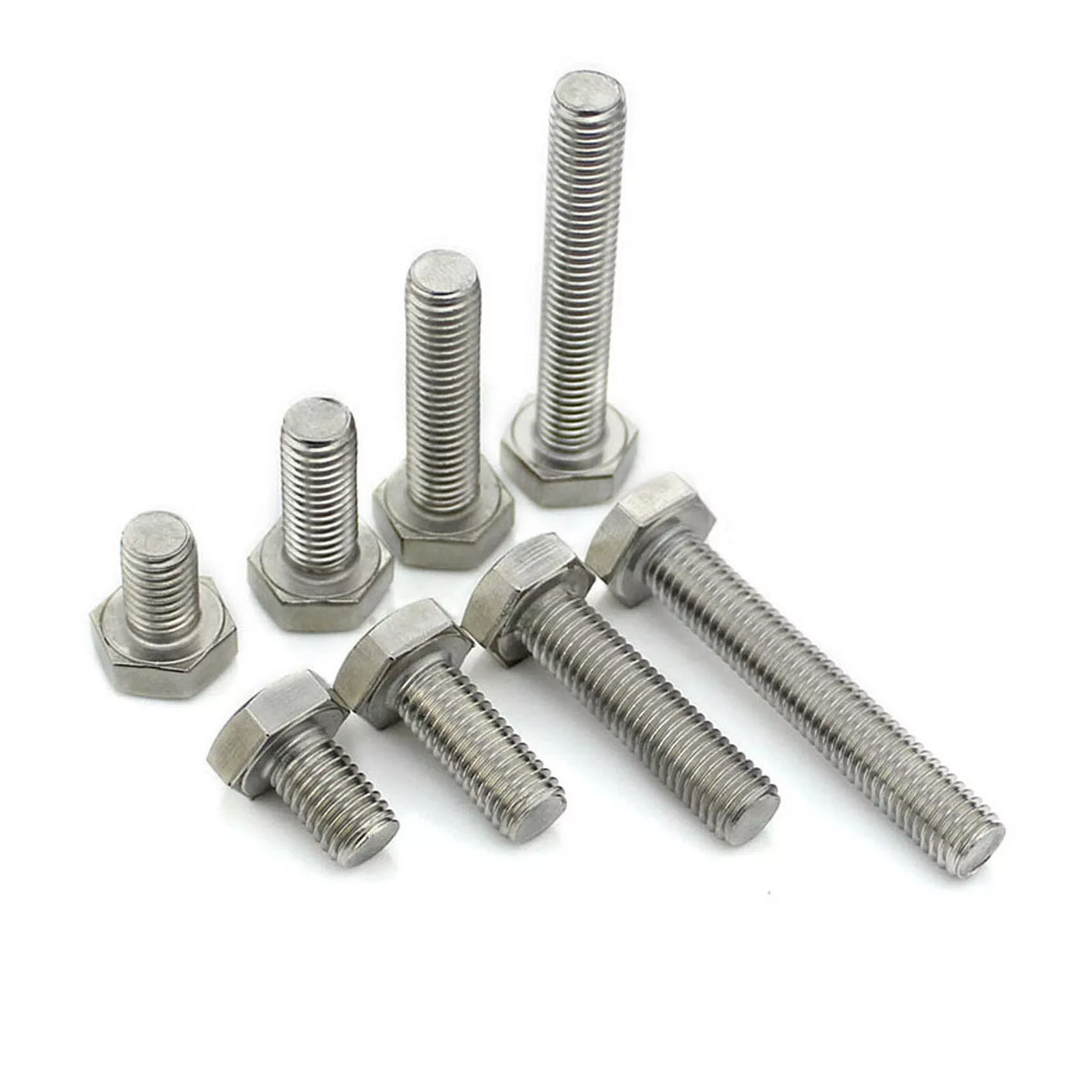 WMP Bolt - 6 x 25mm (50 Pack)